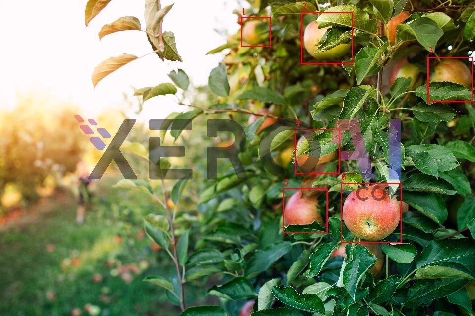 Figure 6: Evaluation of Model for Apple Fruits Assessment